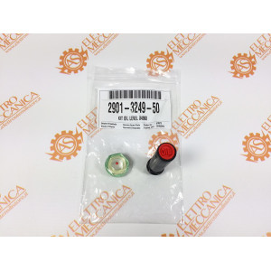Kit Livello Olio per Gruppi Pompanti Abac B4900 - Balma NS29S