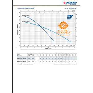 Elettropompa Sommergibile MULTIGIRANTE Monofase 0.55KW 0.75HP TOP MULTI 2 Pedrollo cavo 10mt