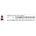 Regolatore di pressione 2 F.1/4 + F.1/8  FIAC - ABAC - BALMA 1127100064