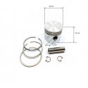 Piston kit  for Fiac AB 245 - AB 335 - AB 248 - AB 338 - AB 268 - AB 348 Pumping units