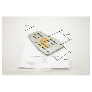 Valve plate kit for Fiac AB 671 - AB 678 - AB 851 - AB 858 - AB 901 - AB 981 pumping units