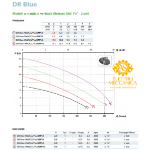 Elettropompa Sommergibile DR-Blue 40/2/G32V A1BM 10/SH Monofase Zenit