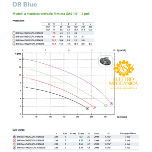 Elettropompa Sommergibile DR-Blue 100/2/G32V A1BM 10/SH Monofase Zenit